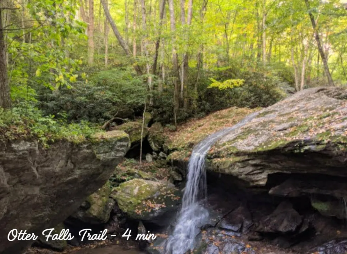 This image features a stunning, serene waterfall surrounded by lush greenery and rocky formations. The natural setting is vibrant and inviting, perfect for outdoor exploration with pets.