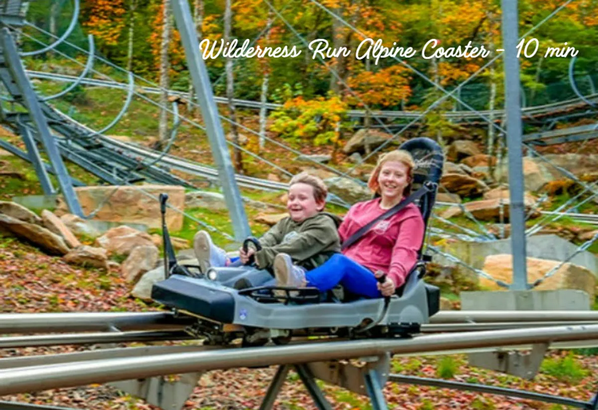 An alpine coaster car speeds along metal tracks with riders, set against a backdrop of colorful autumn foliage. The riders’ delighted expressions highlight the excitement of this unique mountain attraction.