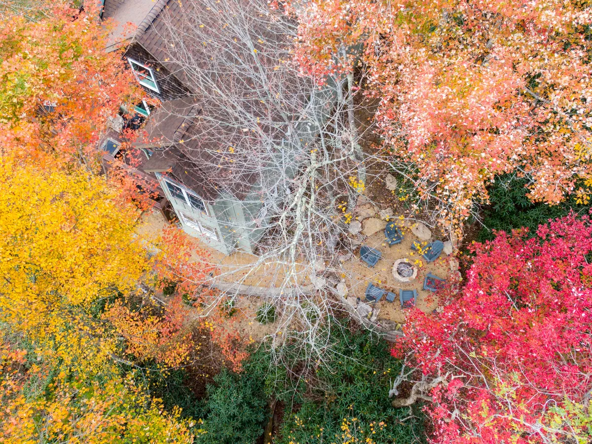 An inviting outdoor fire pit surrounded by comfortable seating, nestled amidst colorful autumn foliage. The communal setup encourages guests to gather, connect, and enjoy the crisp mountain air while basking in the warmth of the fire.