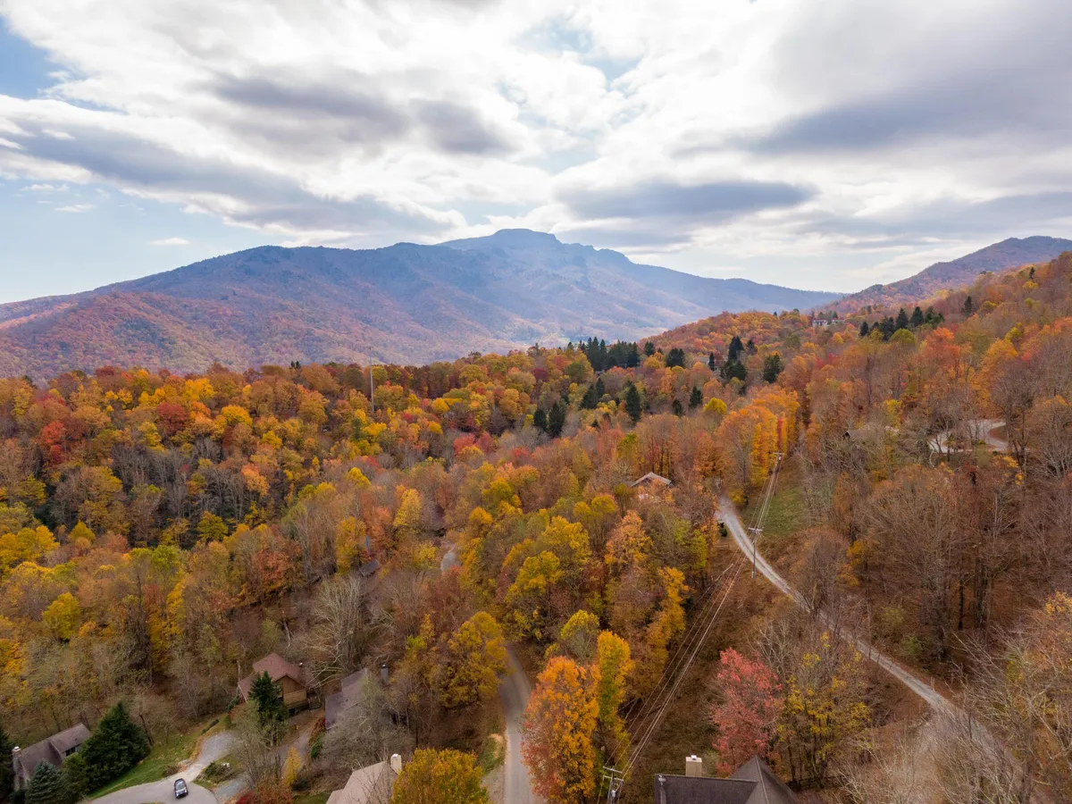 This image presents an expansive view of rolling mountains carpeted with vibrant green foliage, with winding roads snaking through the landscape. The sky is clear, adding a sense of serenity and openness. The scene invites activities such as hiking, photography, and nature walks, and the terrain suggests adventure around every bend.